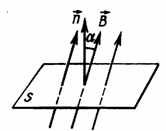Вектор магнитной индукции векторная скалярная
