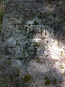 Могила Ф. Эпинуса на кладбище Рааде в Тарту