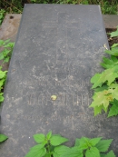 Состояние могилы И.И. Боргмана до 2012 года