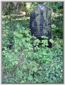 Могила Г. Кайзера на Poppelsdorfer Friedhof, Бонн, Германия. Источник: http://www.knerger.de/html/carowissenschaftler_32.html