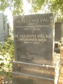 Могила П. Зелени на еврейском кладбище в Будпеште. Источник: https://hu.wikipedia.org/wiki/Sel%C3%A9nyi_P%C3%A1l#/media/File:Sel%C3%A9nyi_P%C3%A1l.jpg