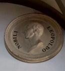 Медальон в честь Л. Нобили в Музее  естественной истории во Флоренции. Фото В.Е, Фрадкина, 2019