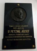 Мемориальная доска, посвященная Й. Петцвалю. Источник:http://mapio.net/pic/p-57641197/